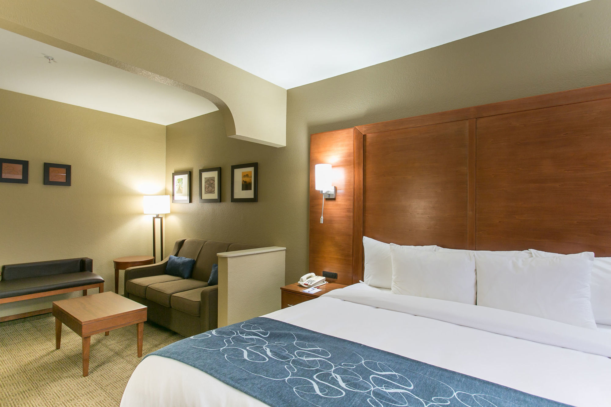 Comfort Suites Austin Nw Lakeline Номер фото